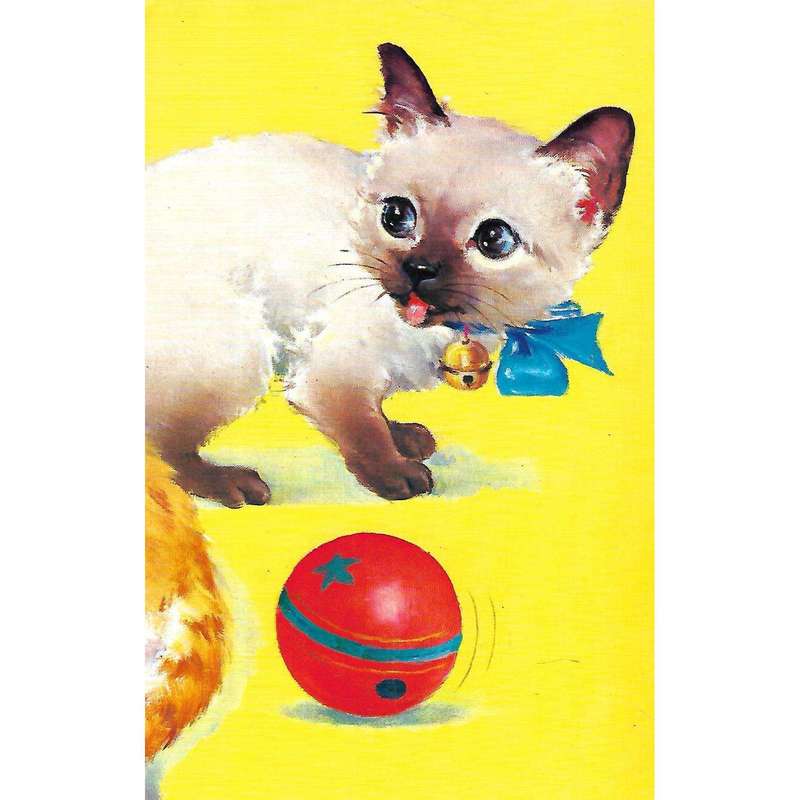Klein Maatjies (Hardboard Afrikaans Children's Book)