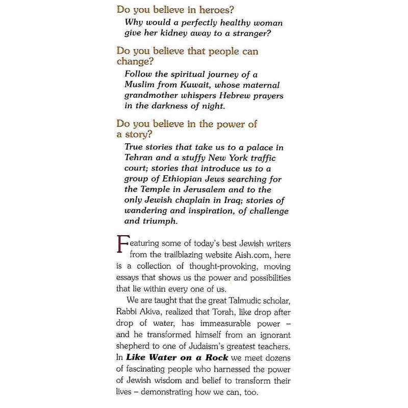 Like Water on a Rock: True Stories of Spiritual Transformation | Nechemia Coopersmith & Shraga Si...