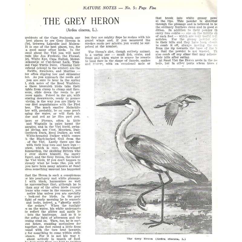 Nature Notes Vol. 1 (Issues 1-12)
