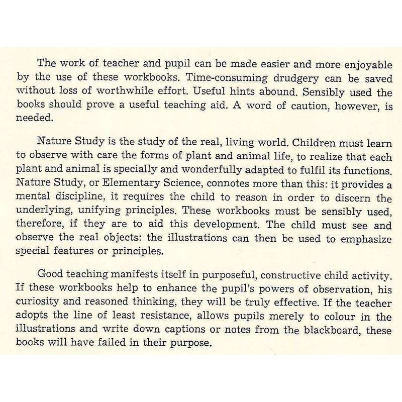 Nature Study, Std. III (Teacher's Manual, Do and Learn Series) | A. L. Behr