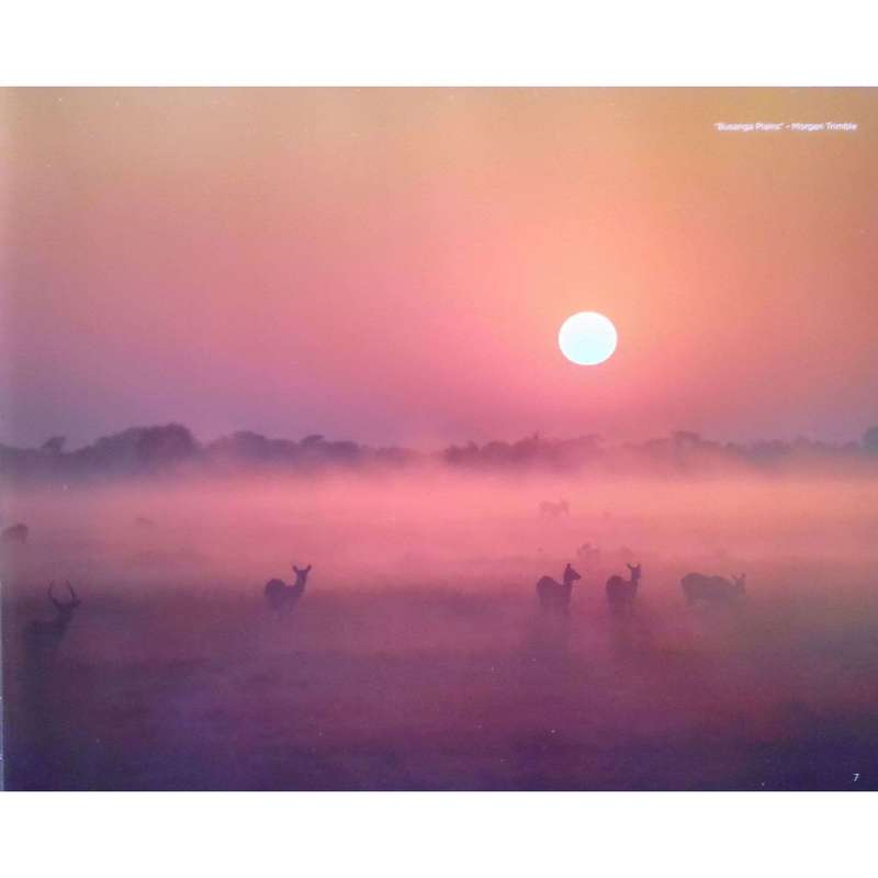 Nature's Best Photography Africa 2016