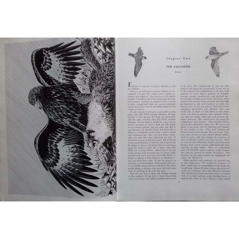 North American Falconry & Hunting Hawks (Limited Edition, Signed by Authors) | Frank Lyman Beebe ...