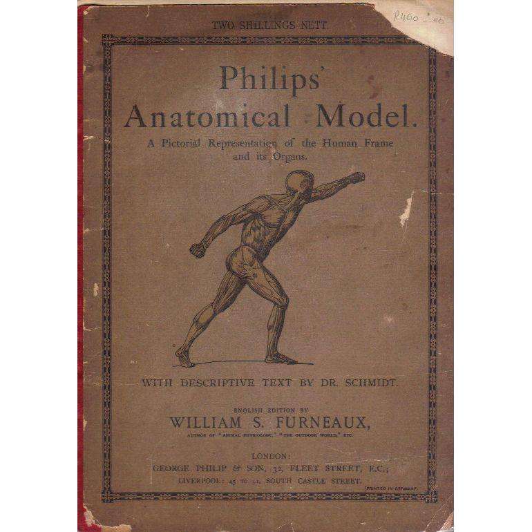 Philips' Anatomical Model: A Pictorial Representations of the Human Frame and its Organs | Willia...