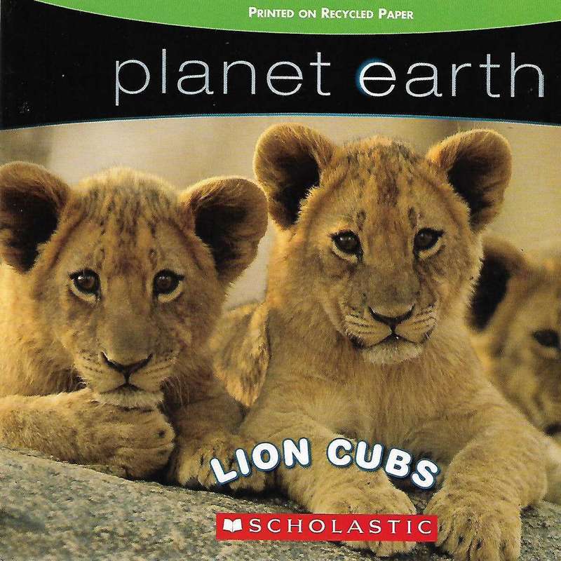 Planet Earth: Lion Cubs | Scholastic