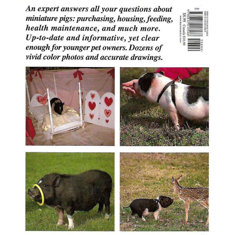 Pot Bellies and Other Miniature Pigs: A Complete Pet Owner's Guide | Pat Storer