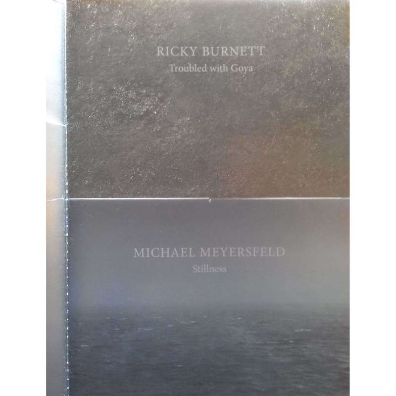Ricky Burnett: Troubled with Goya & Michael Meyersfeld: Stillness (Brochure to Accompany the Exhi...