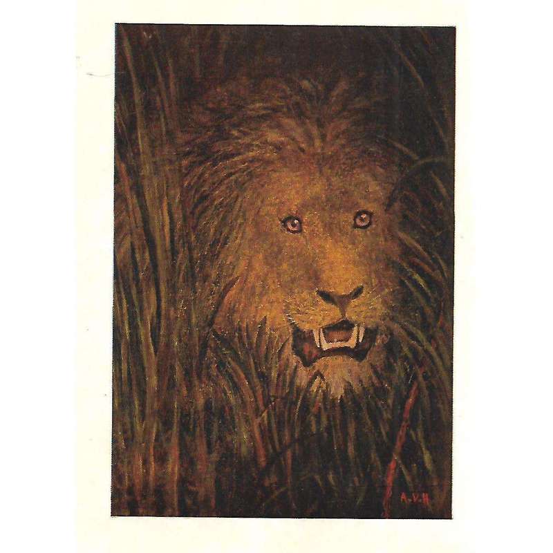 Round the Camp Fire in East Africa and Other Poems (With Author's Presentation Inscription) | Art...