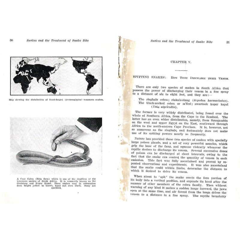 Snakes: And the Treatment of Snake Bite | F. W. Fitzsimons