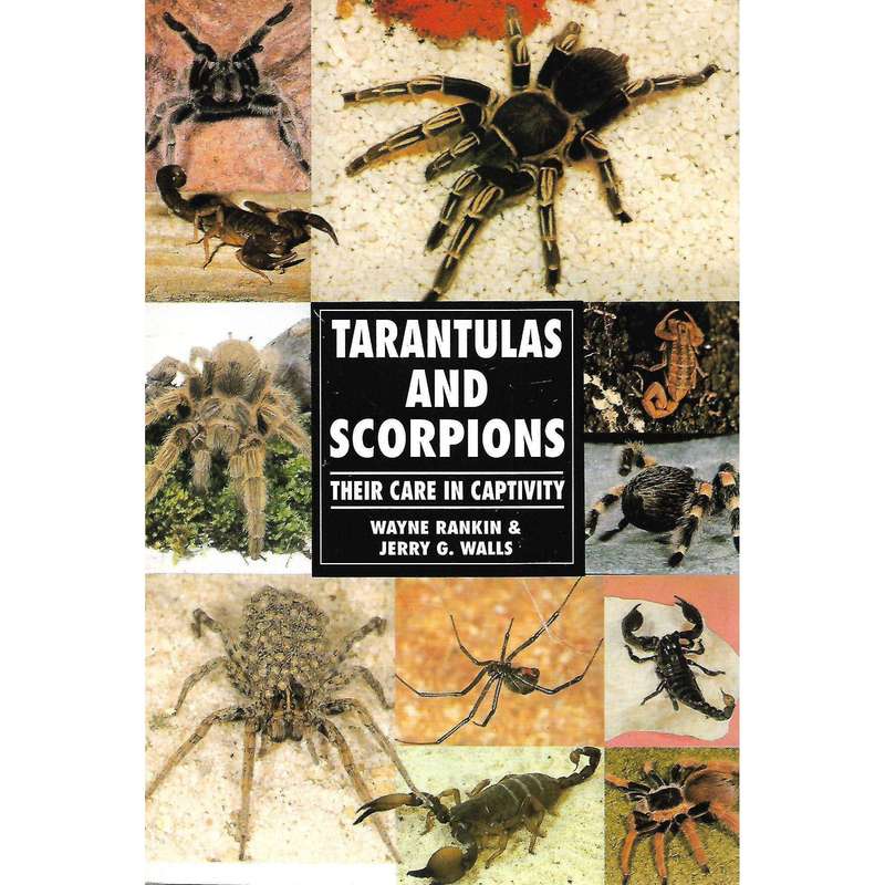 Tarantulas and Scorpions: Their Care in Captivity | Wayne Rankin and Jerry G. Walls