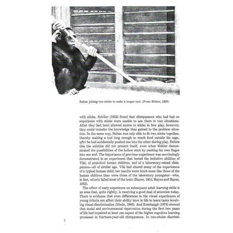 The Chimpanzees of Gombe: Patterns of Behaviour | Jane Goodall