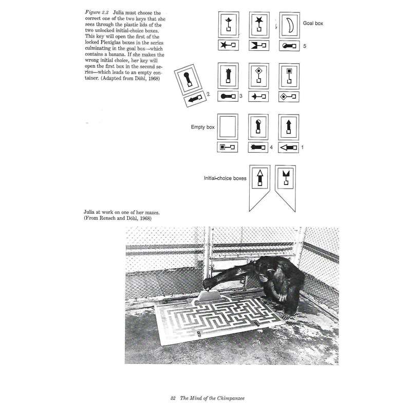 The Chimpanzees of Gombe: Patterns of Behaviour | Jane Goodall