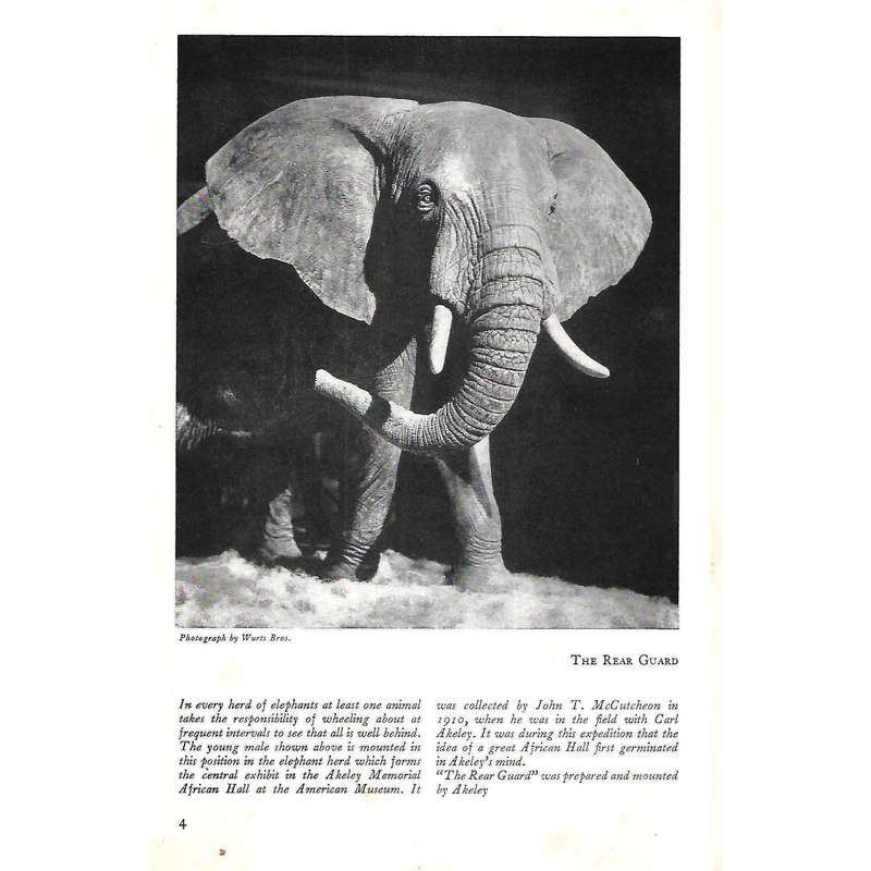 The Complete Book of African Hall