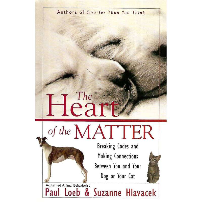 The Heart of the Matter: Breaking Codes and Making Connections Between You and Your God or Your C...
