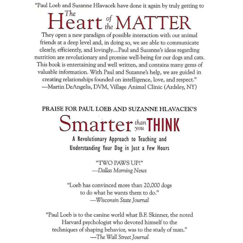 The Heart of the Matter: Breaking Codes and Making Connections Between You and Your God or Your C...