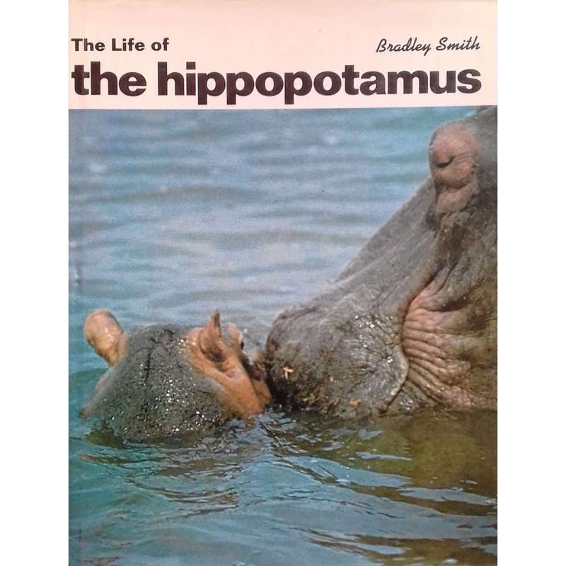The Life of the Hippopotamus | Bradley Smith