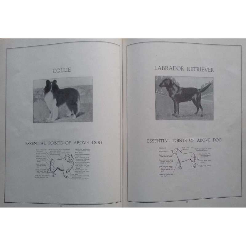 The South African Dog Annual 1950
