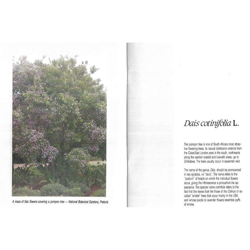 Tree of the Year 1992: Dias cotinifolia | C. J. Esterhuyse
