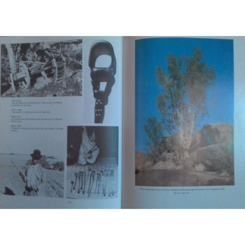 Trees of Southern Africa (3 Vols.) | Eve Palmer & Norah Pitman