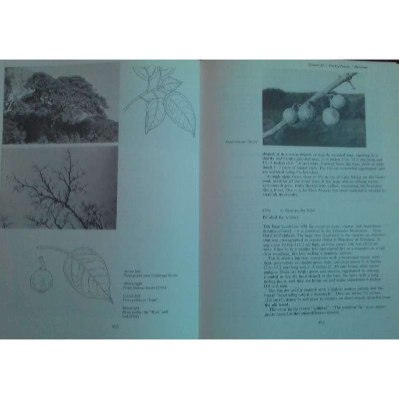 Trees of Southern Africa (3 Vols.) | Eve Palmer & Norah Pitman