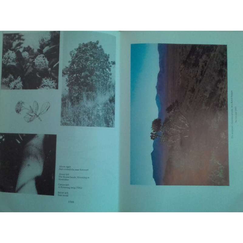 Trees of Southern Africa (3 Vols.) | Eve Palmer & Norah Pitman