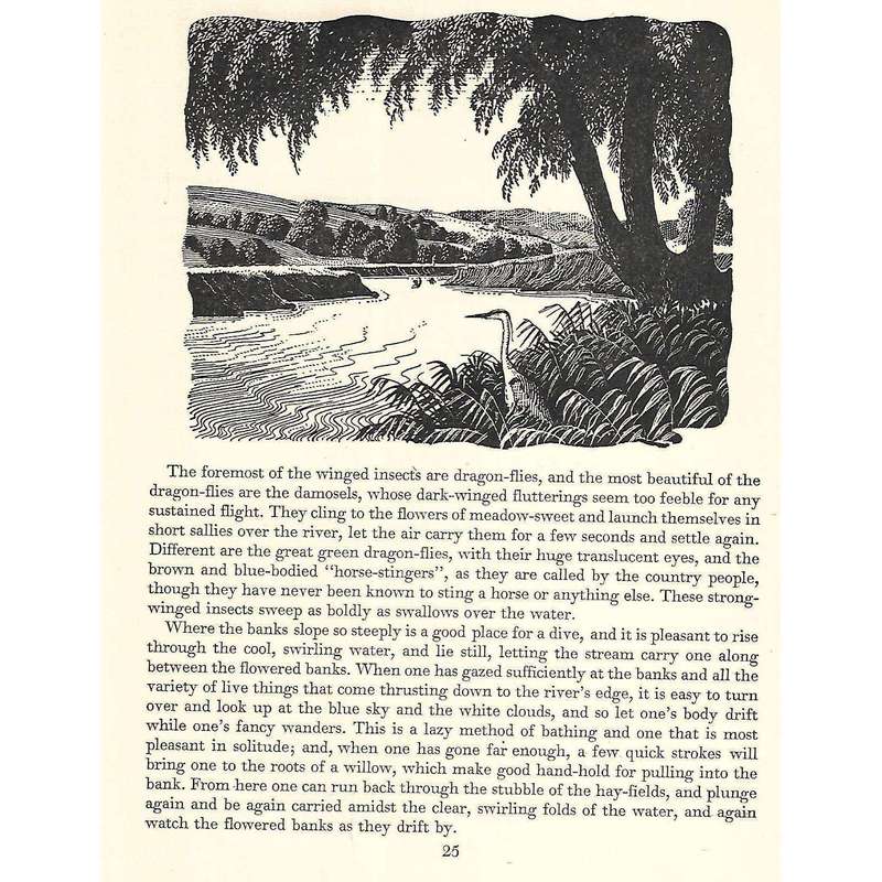 Walking with Fancy (Illustrated by C. F. Tunnicliffe) | E. L. Grant Watson