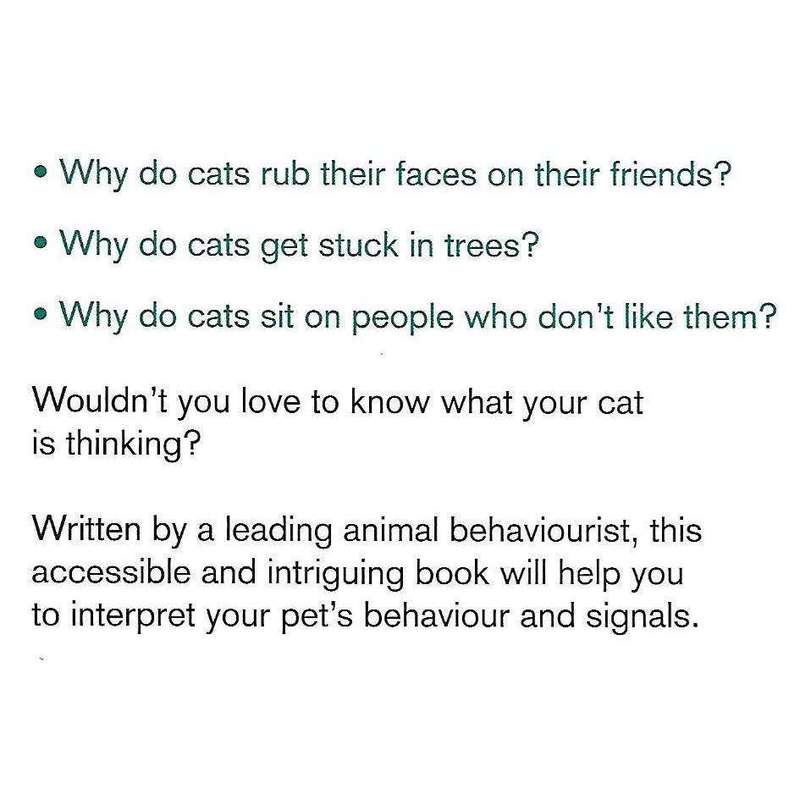 What is My Cat Thinking? The Essential Guide to Understanding Pet Behaviour | Gwen Bailey