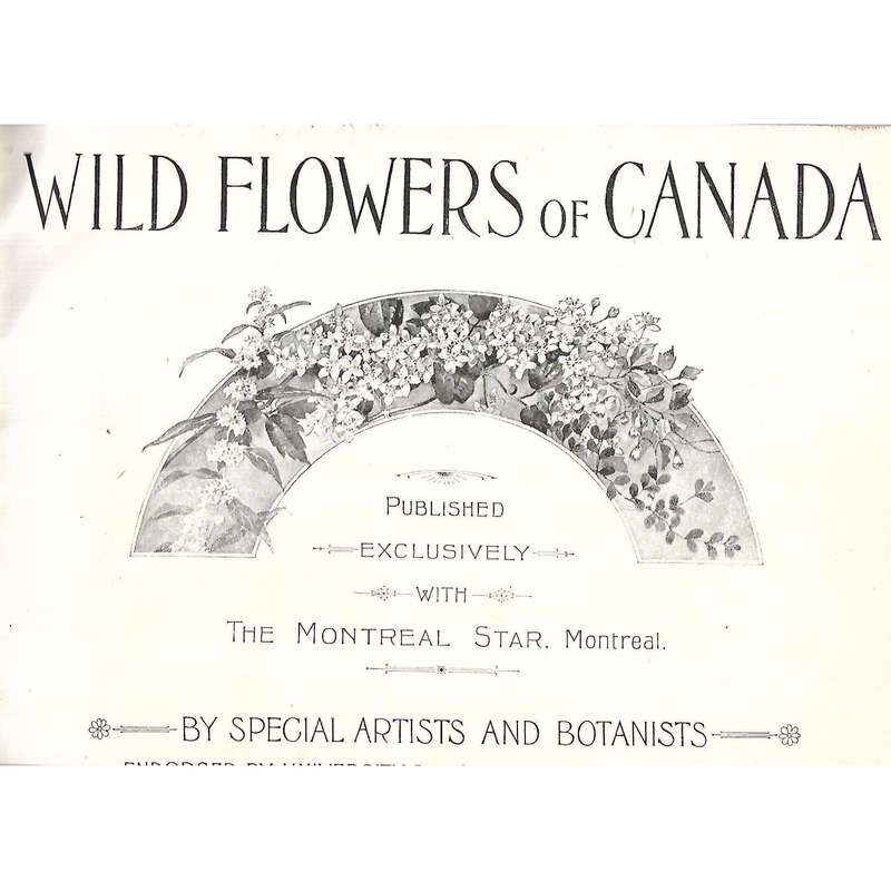 Wild Flowers of Canada