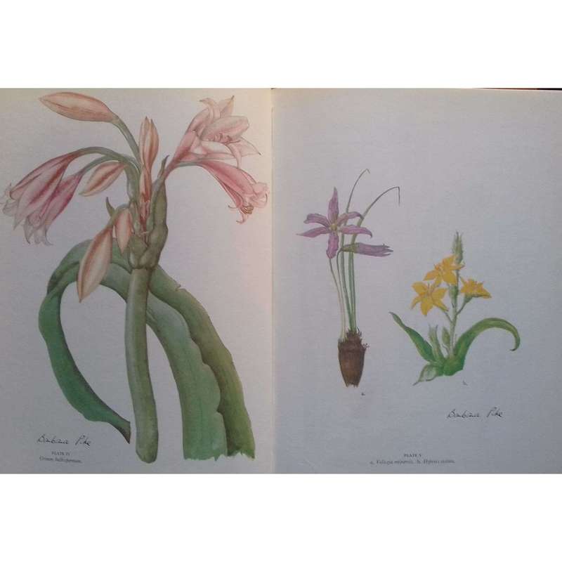 Wild Flowers of the Witwatersrand | Annabelle Lucas & Barbara Pike