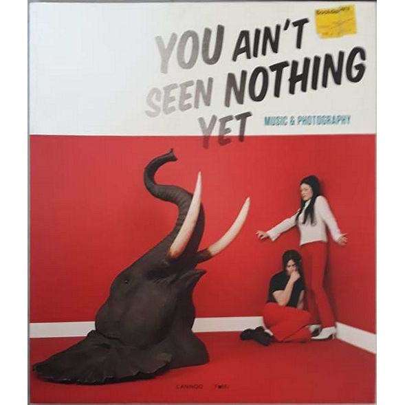 You Ain't Seen Nothing Yet | Rein Desl