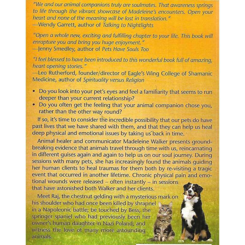 Your Pets' Past Lives & How They Can Heal You | Madeleine Walker