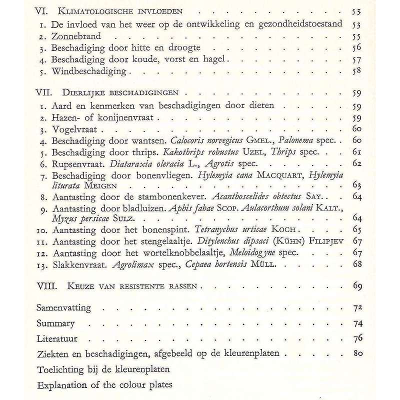 Ziekten en Beschadigingen van Bonen | N. Hubbeling