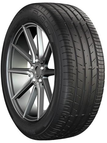 225/65R17 Dunlop FM800 102V Tyre