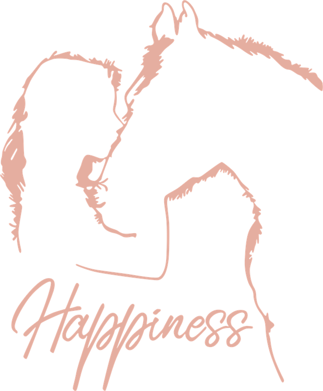 Horse Happiness T-shirt - Small / Red / Classic Unisex Fit
