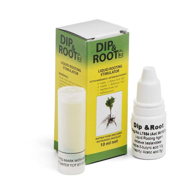 Dip & Root 10ML