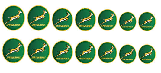 Springbok Rugby - Water Decals