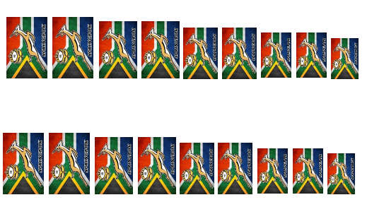 Springbok Rugby - Water Decals