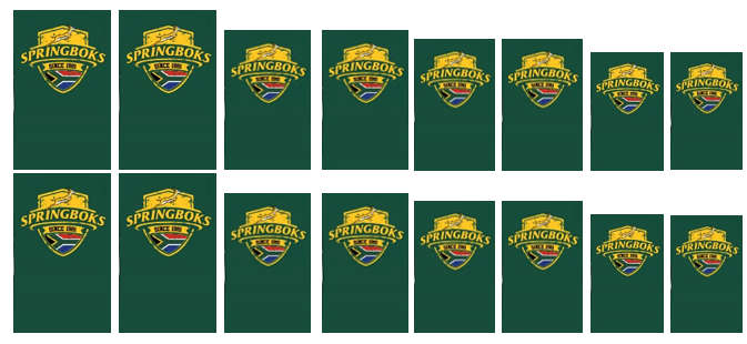 Springbok Rugby - Water Decals