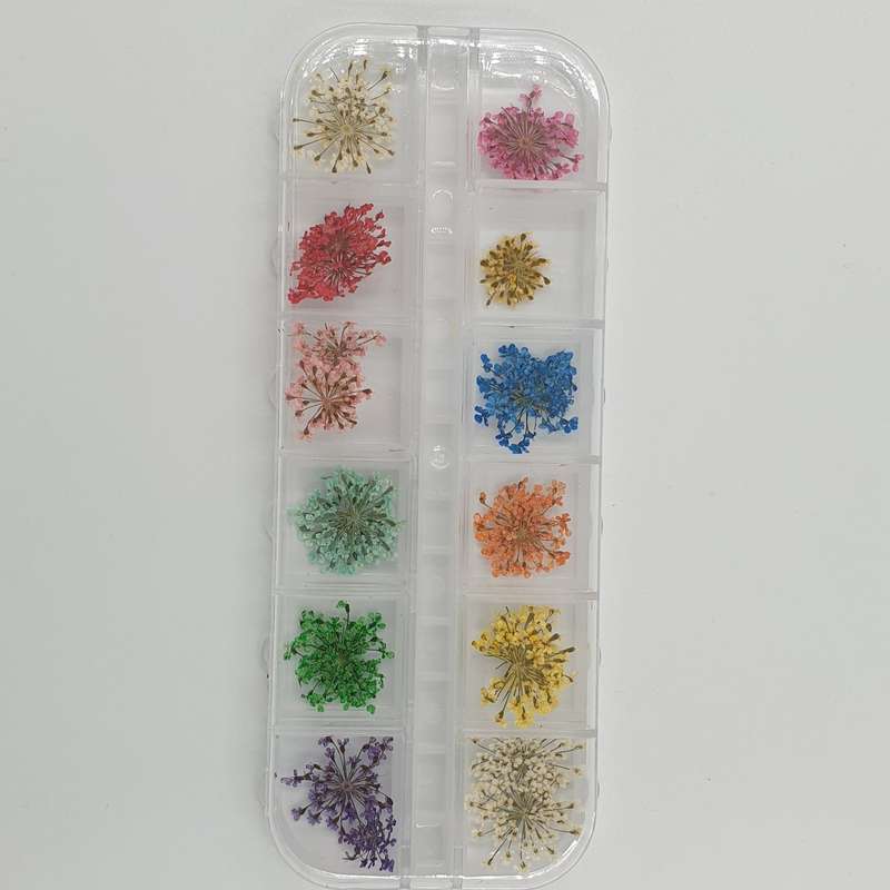 Dry Flowers Nail Décor - Tiny Starry Flowers