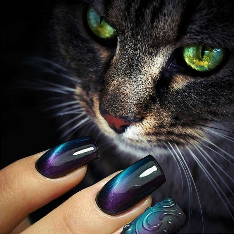 AS - UV Gel Polish - Cat Eye - CT 2