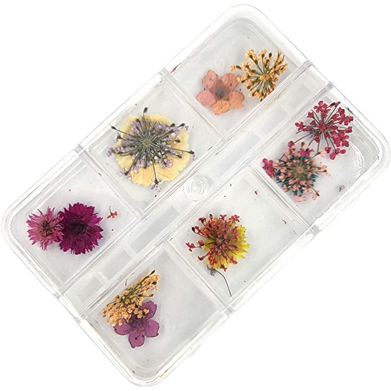 Dry Flowers Nail Dcor - Random Mix - 6 Grit Box