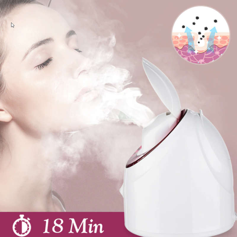 Nano Ionic Facial Steamer