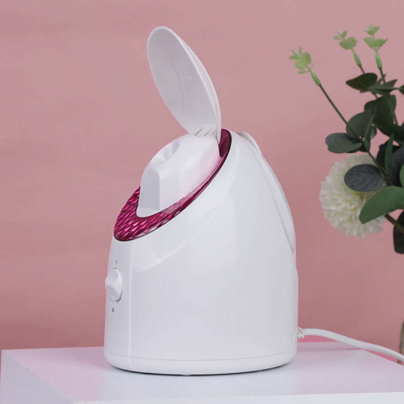 Nano Ionic Facial Steamer