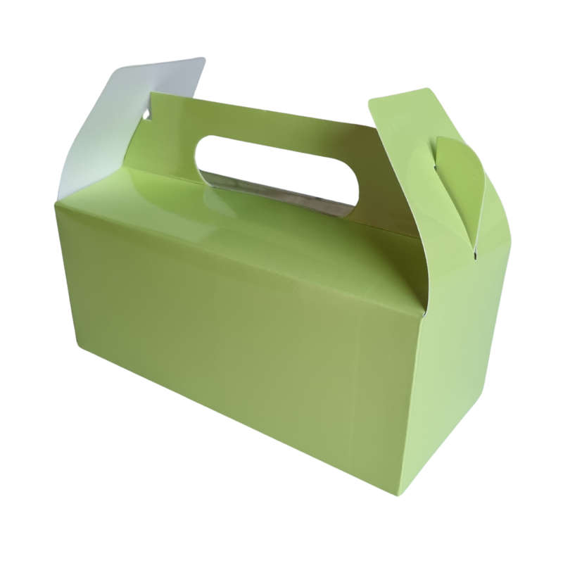 Plain Party Box Pack of 10 Lime Green