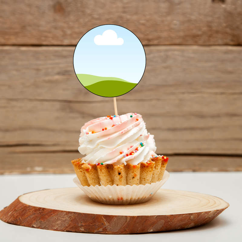 Custom Mini CUPCAKE TOPPER  SET OF 12 birthday party themed decor