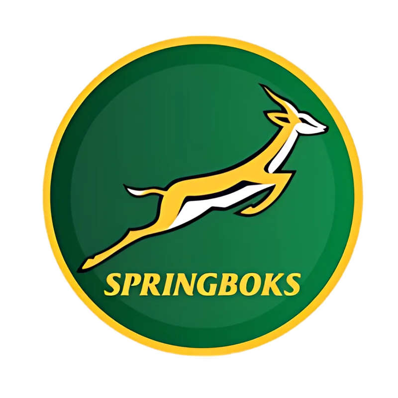 Springbok Themed Paper Plates  23cm Pack of 8