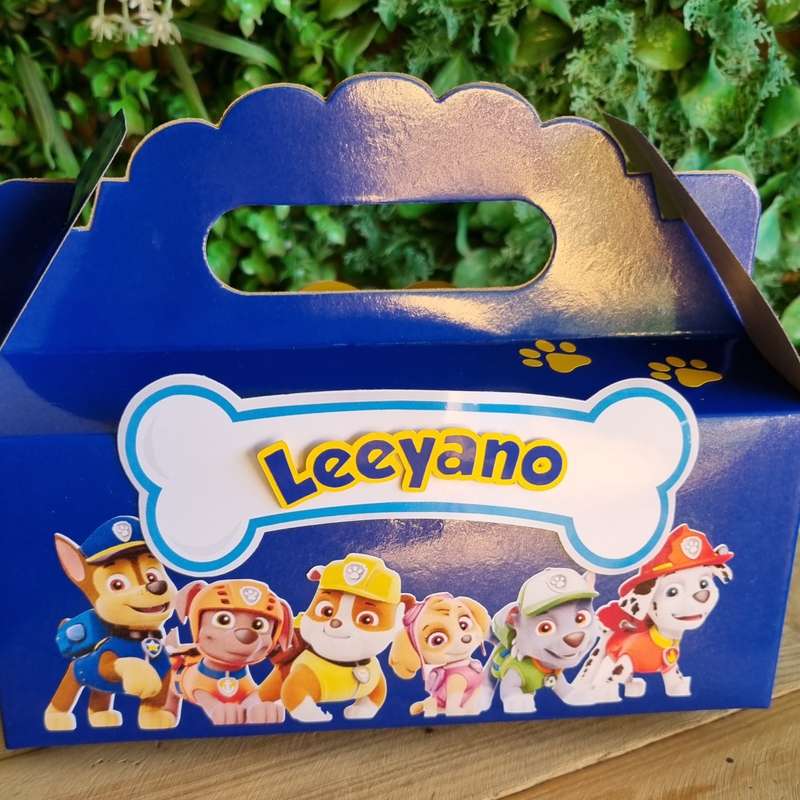 Paw Patrol Party Pack Box Set of 5