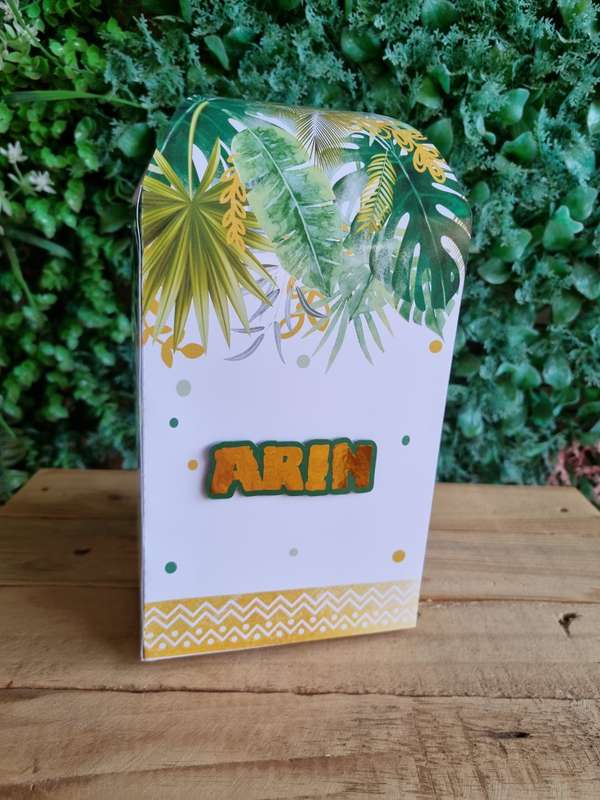SAFARI WILD SQUARE BOX PARTY PACKS BOX