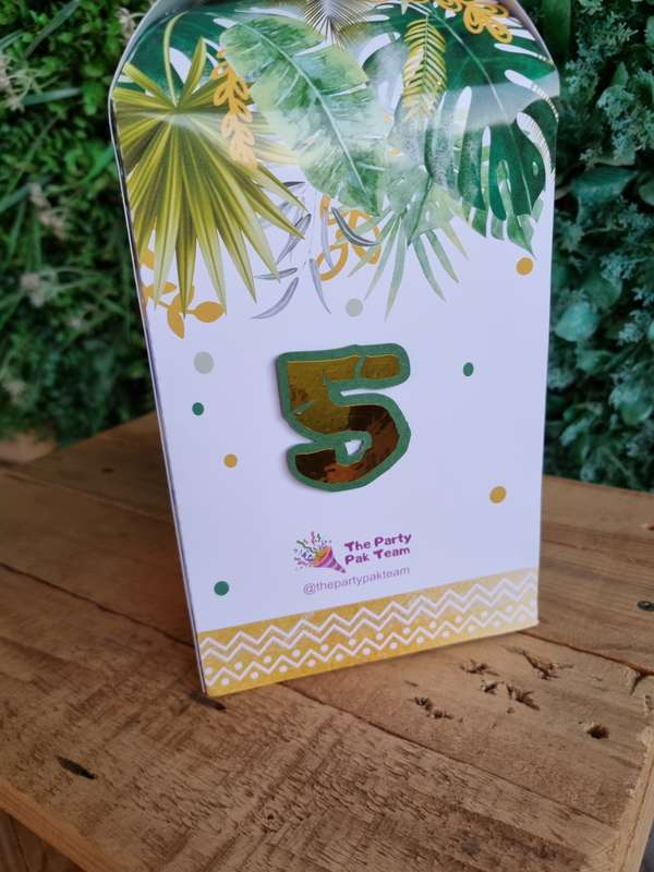 SAFARI WILD SQUARE BOX PARTY PACKS BOX