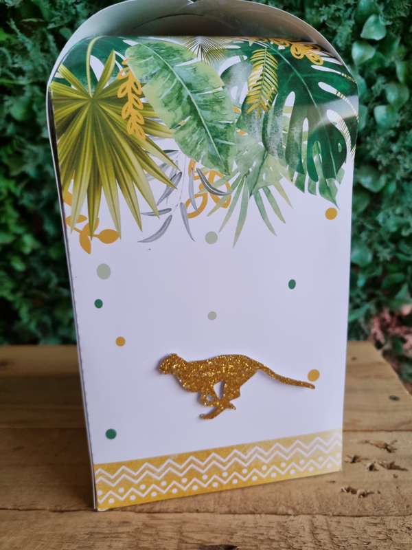 SAFARI WILD SQUARE BOX PARTY PACKS BOX
