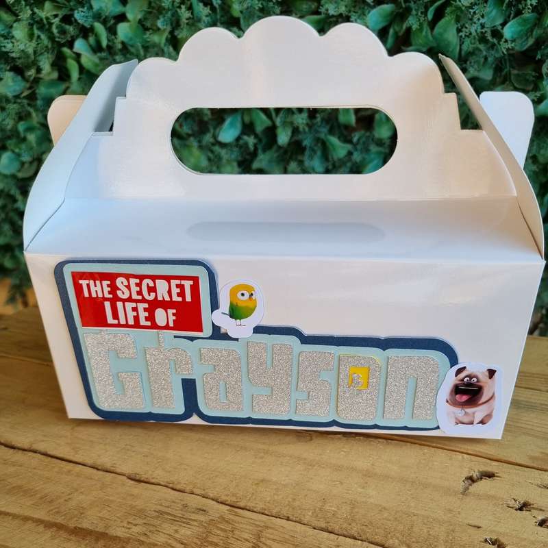 SECRET LIFE OF PETS PARTY PACK 5 BOXES